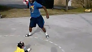 Let's Remember Some Vines